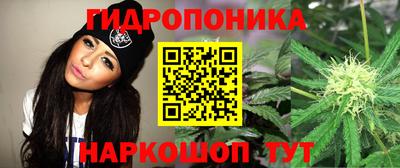 шишки Железногорск