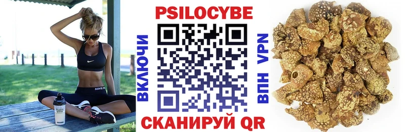 Псилоцибиновые грибы мухоморы  хочу наркоту  Абинск 